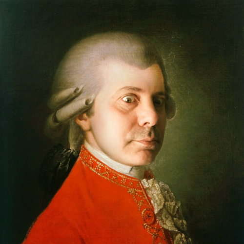 <p>NON SONO MOZART! <br></p>